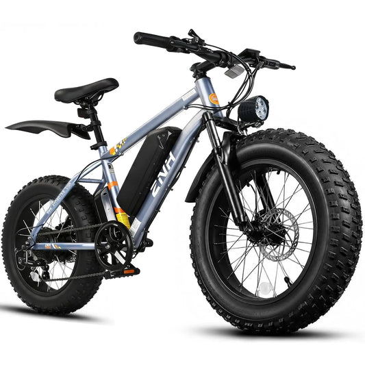 Electric Bike for Adults, 1000W Peak Motor 25Mph 65 Miles Fat Tire Ebike with 48V 15Ah Removable Battery, 20"/24", Customized